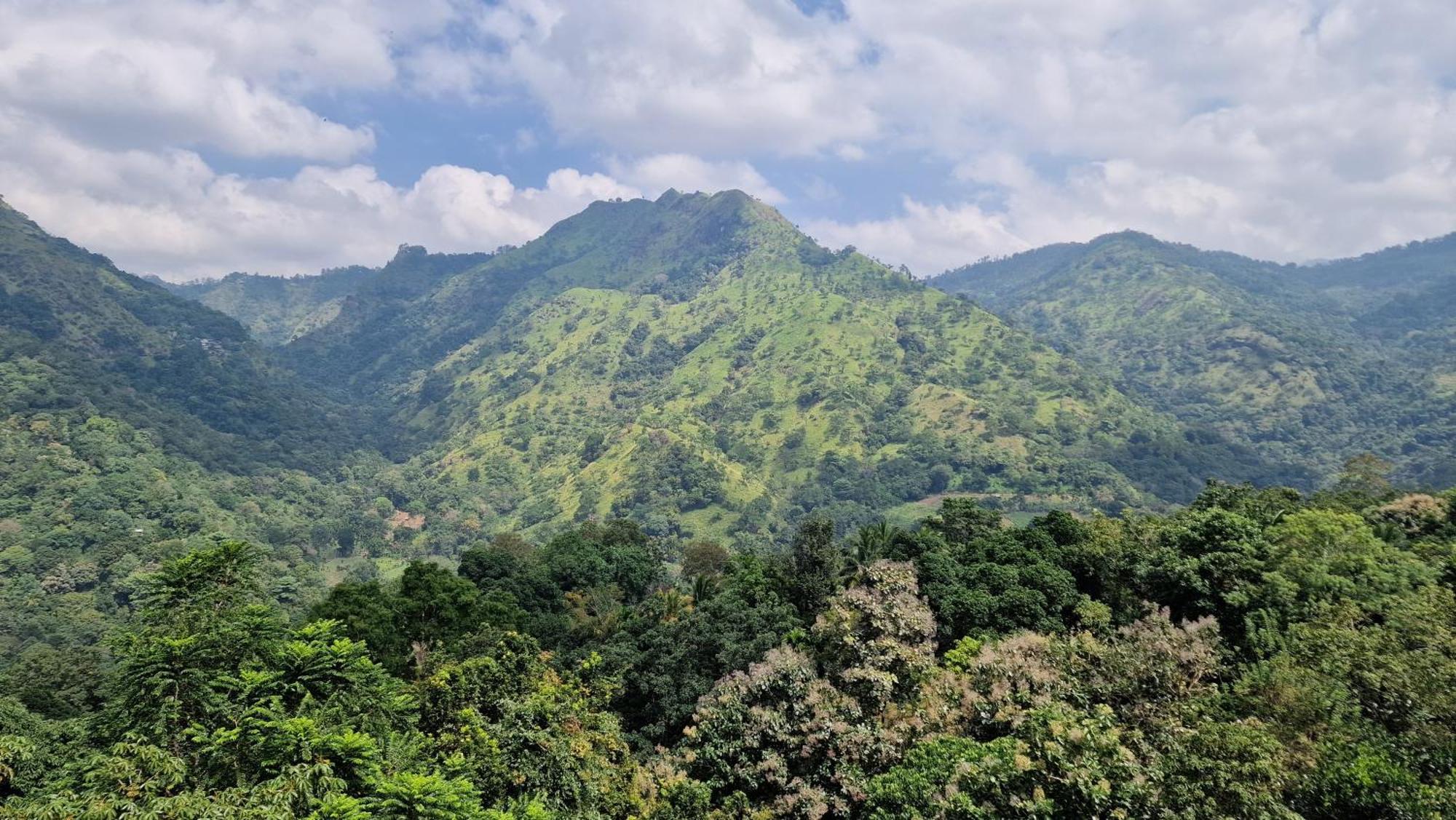 Ella Wild Waterfall Inn Ngoại thất bức ảnh