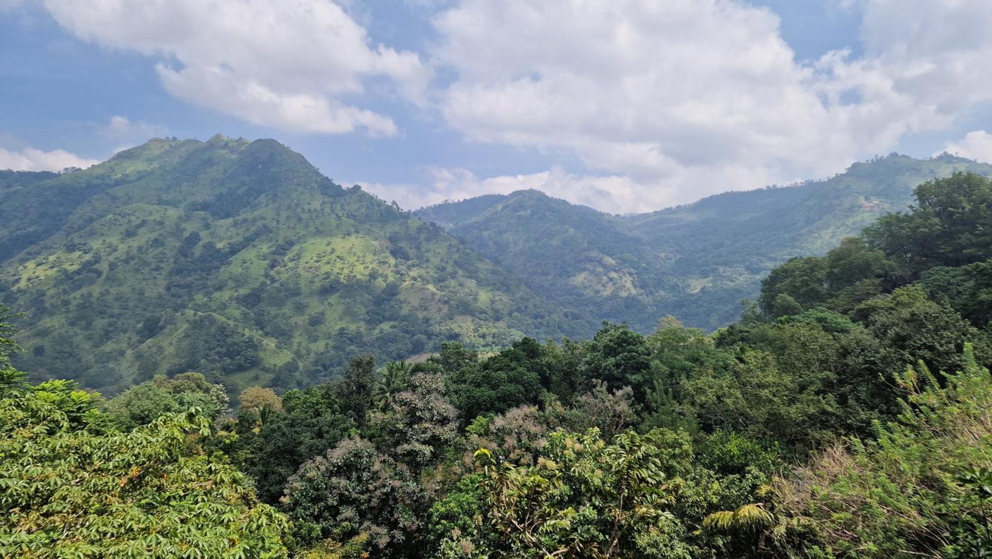 Ella Wild Waterfall Inn Ngoại thất bức ảnh