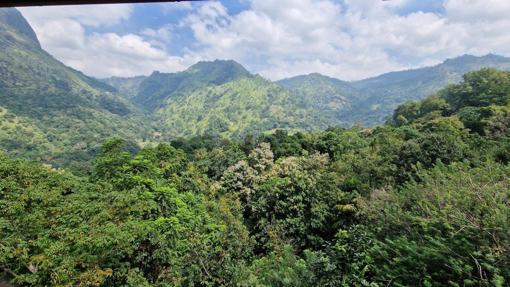 Ella Wild Waterfall Inn Ngoại thất bức ảnh
