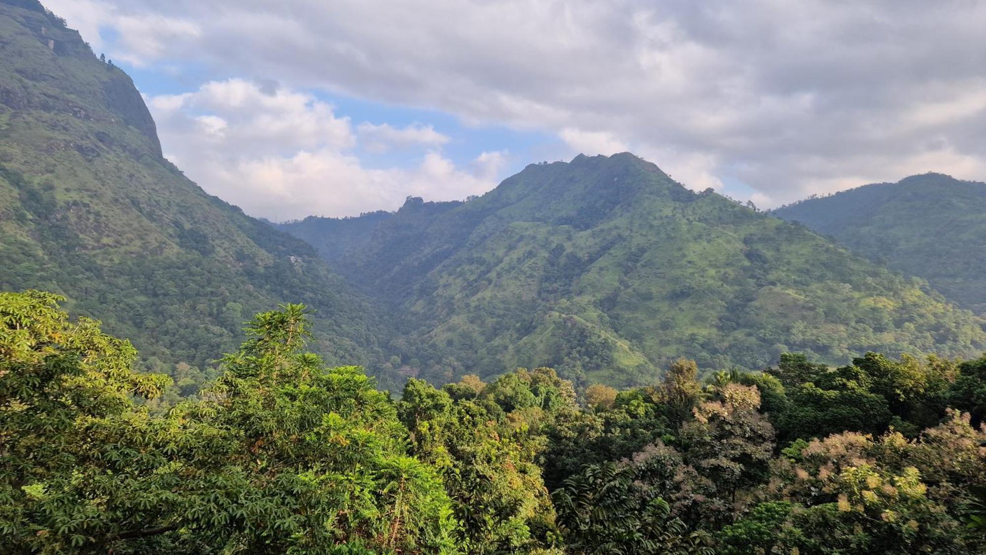 Ella Wild Waterfall Inn Ngoại thất bức ảnh