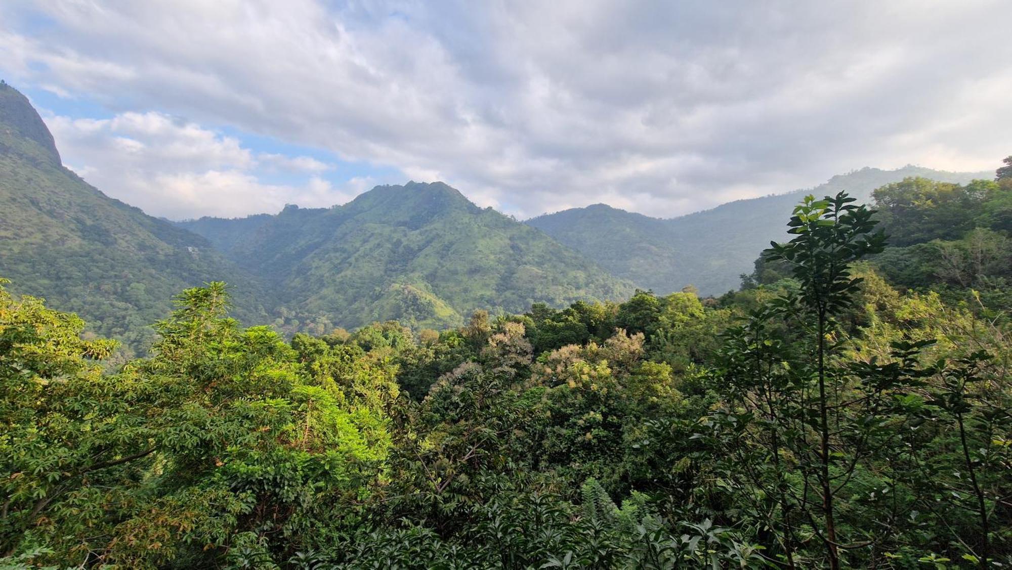 Ella Wild Waterfall Inn Ngoại thất bức ảnh