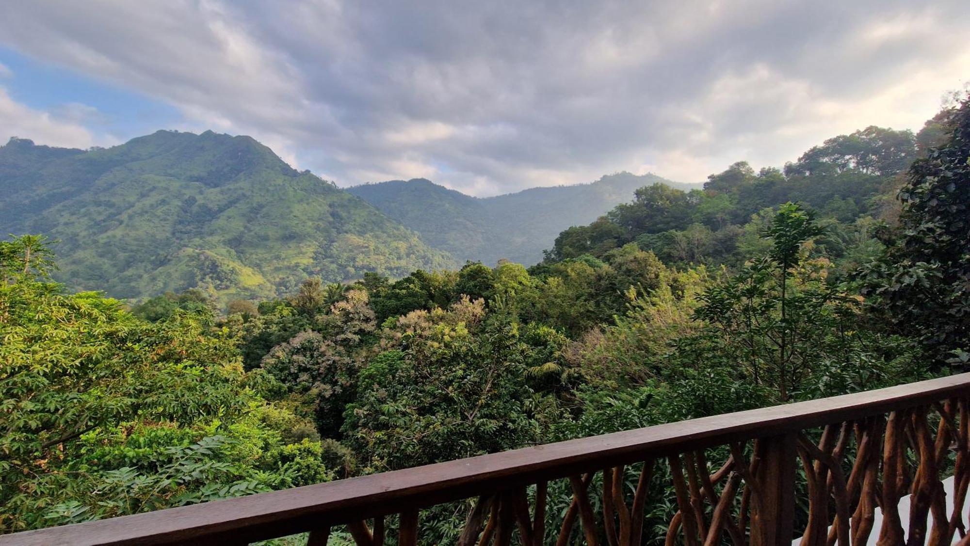 Ella Wild Waterfall Inn Ngoại thất bức ảnh